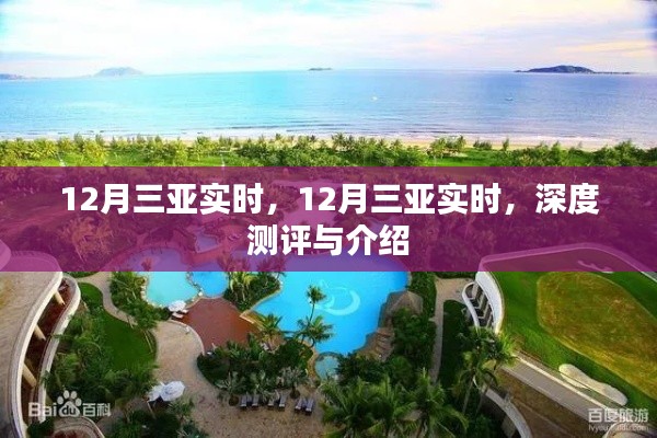 候鸟南飞 第2页