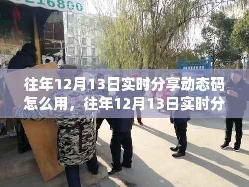往年12月13日实时分享动态码,应用评测、特性体验、用户群体分析及使用指南