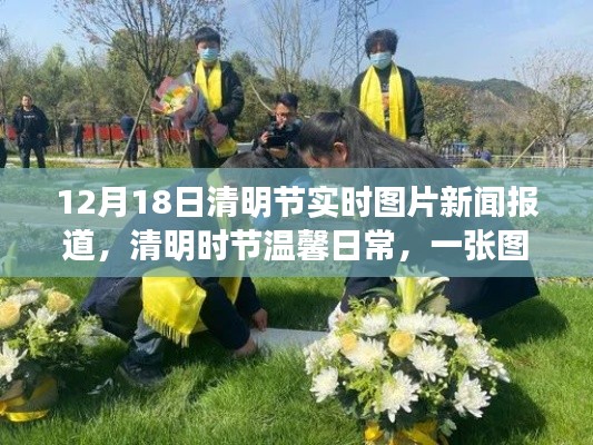 清明时节温馨瞬间,实时图片新闻报道下的温情故事