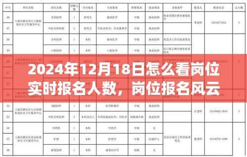 揭秘岗位报名风云,岗位实时报名人数揭秘与报名现场小故事回顾,2024年12月18日深度观察