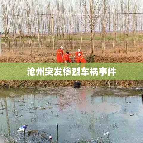 沧州突发惨烈车祸事件