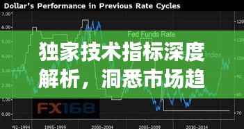 布衣蔬食 第3页