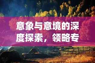 衣不完采 第3页