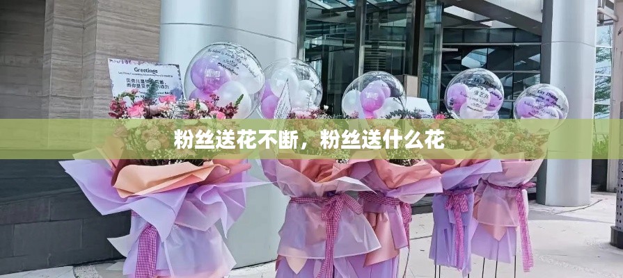 粉丝送花不断,粉丝送什么花