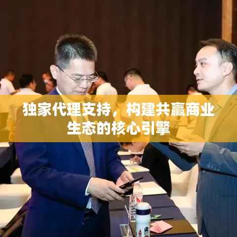 独家代理支持,构建共赢商业生态的核心引擎