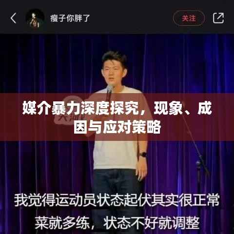 媒介暴力深度探究,现象、成因与应对策略