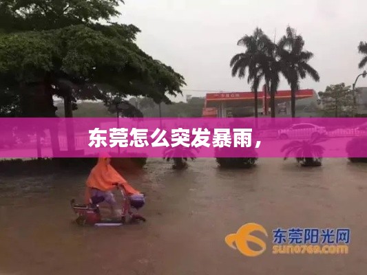 东莞怎么突发暴雨,