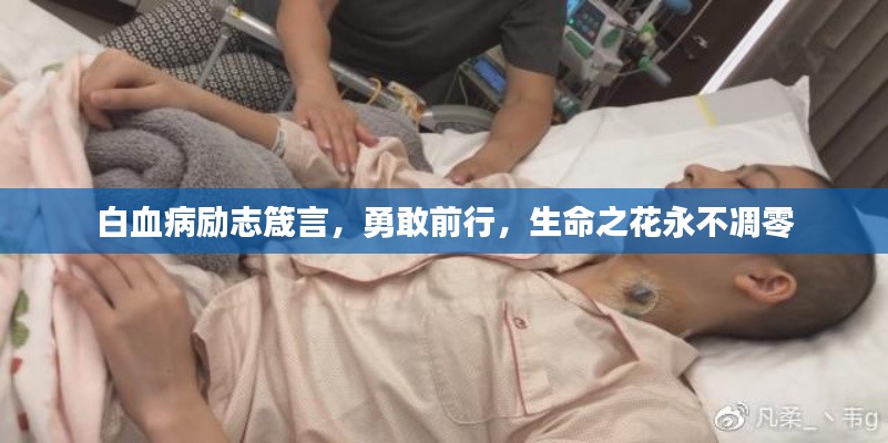 白血病励志箴言,勇敢前行,生命之花永不凋零