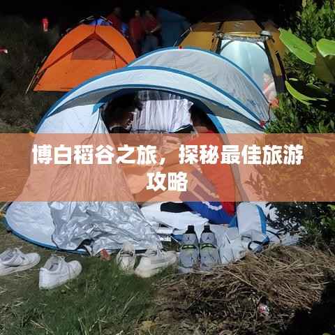 博白稻谷之旅,探秘最佳旅游攻略