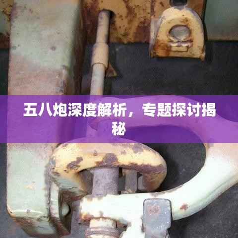 五八炮深度解析,专题探讨揭秘