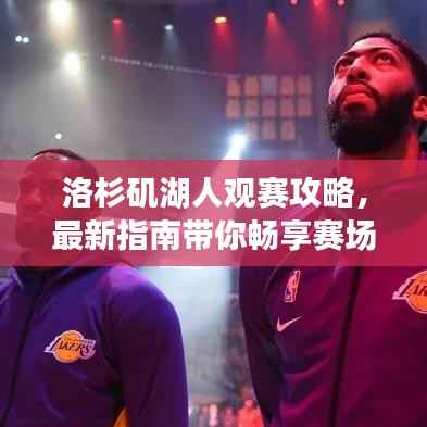 洛杉矶湖人观赛攻略,最新指南带你畅享赛场体验