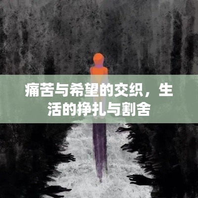 痛苦与希望的交织,生活的挣扎与割舍