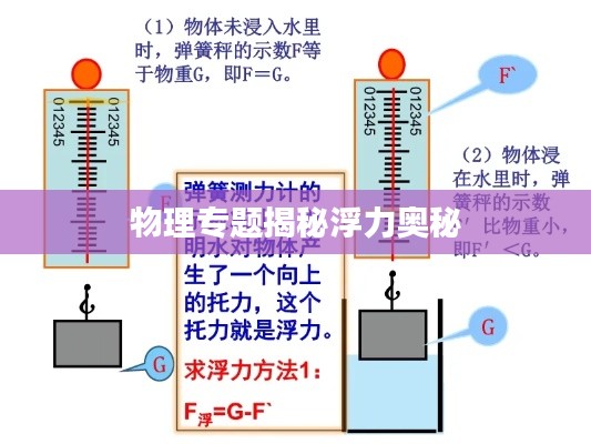 物理专题揭秘浮力奥秘