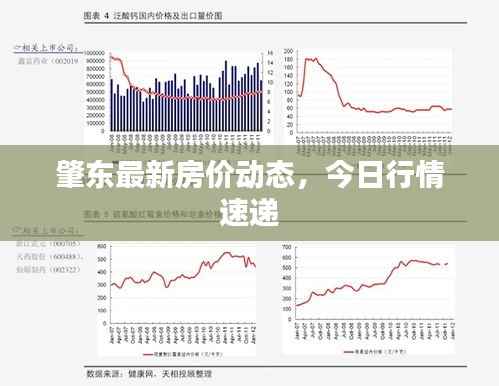 肇东最新房价动态,今日行情速递