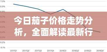 今日茄子价格走势分析,全面解读最新行情