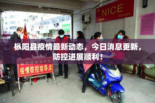 枞阳县疫情最新动态，今日消息更新，防控进展顺利！