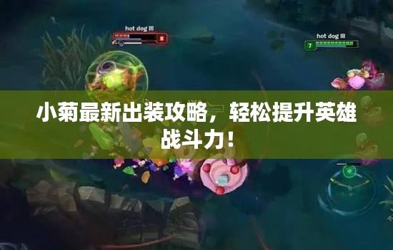 小菊最新出装攻略,轻松提升英雄战斗力!