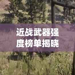 紫色蛙声