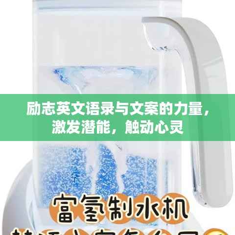 金石为开 第3页