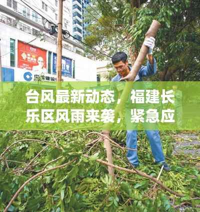 台风最新动态,福建长乐区风雨来袭,紧急应对!