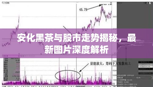 安化黑茶与股市走势揭秘,最新图片深度解析
