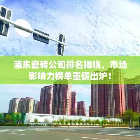 浦东瓷砖公司排名揭晓,市场影响力榜单重磅出炉!