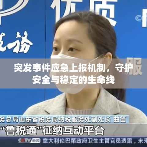 突发事件应急上报机制,守护安全与稳定的生命线