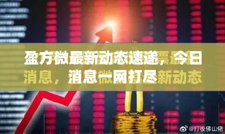 衣不完采 第2页