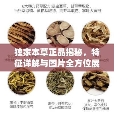 独家本草正品揭秘,特征详解与图片全方位展示