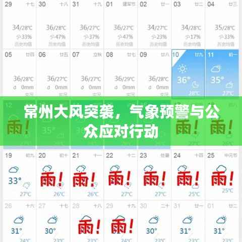 朴素无华