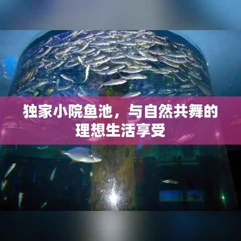 独家小院鱼池,与自然共舞的理想生活享受