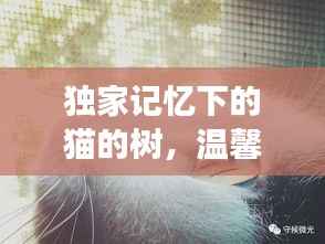 张惶失措