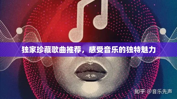 独家珍藏歌曲推荐,感受音乐的独特魅力
