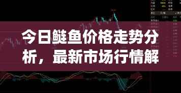 今日鲢鱼价格走势分析,最新市场行情解读