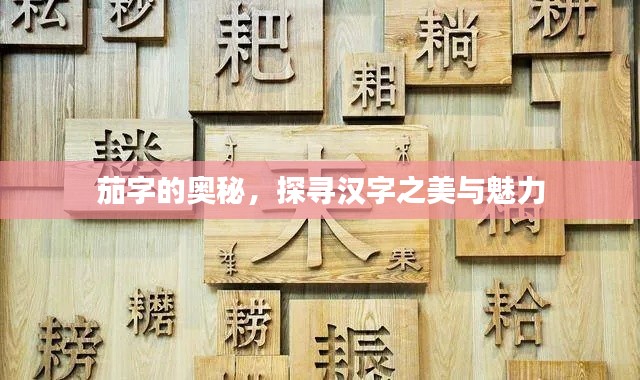 茄字的奥秘,探寻汉字之美与魅力