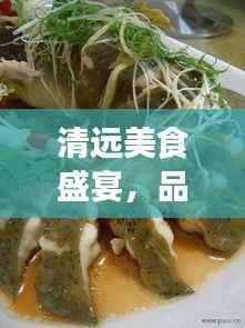 清远美食盛宴,品味清新之城独特风味新闻头条